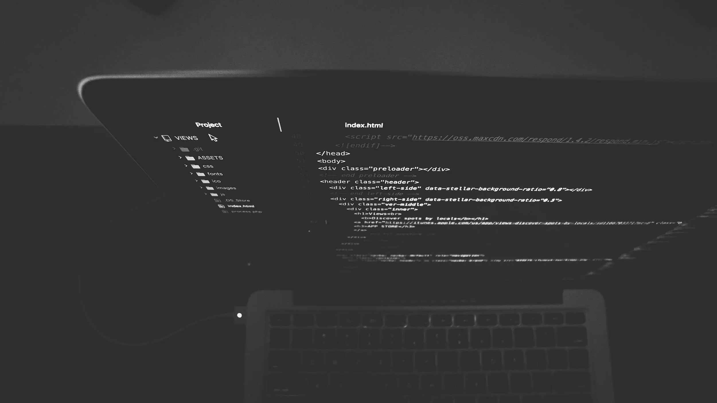 WordPress fork 分叉发行版:最好的时间点是十年前,其次是现在。