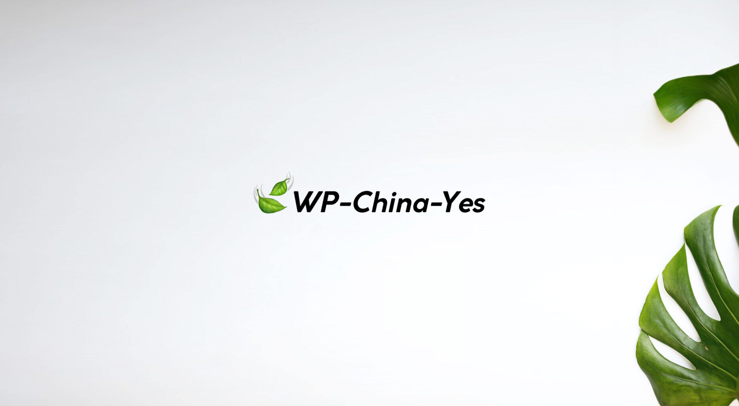 文派叶子 🍃 WP-China-Yes v3.6 新版设计图稿公布