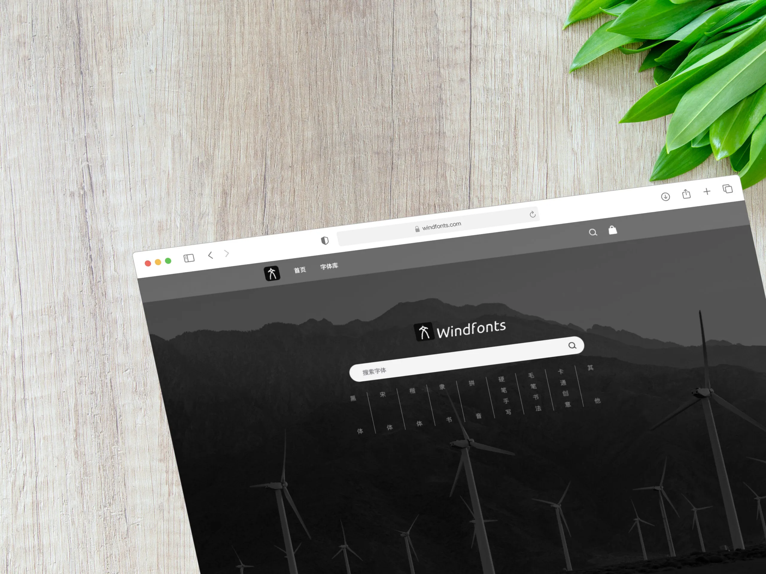 Windfonts 免费在线字体服务内测,立即提升中文网页设计魅力。