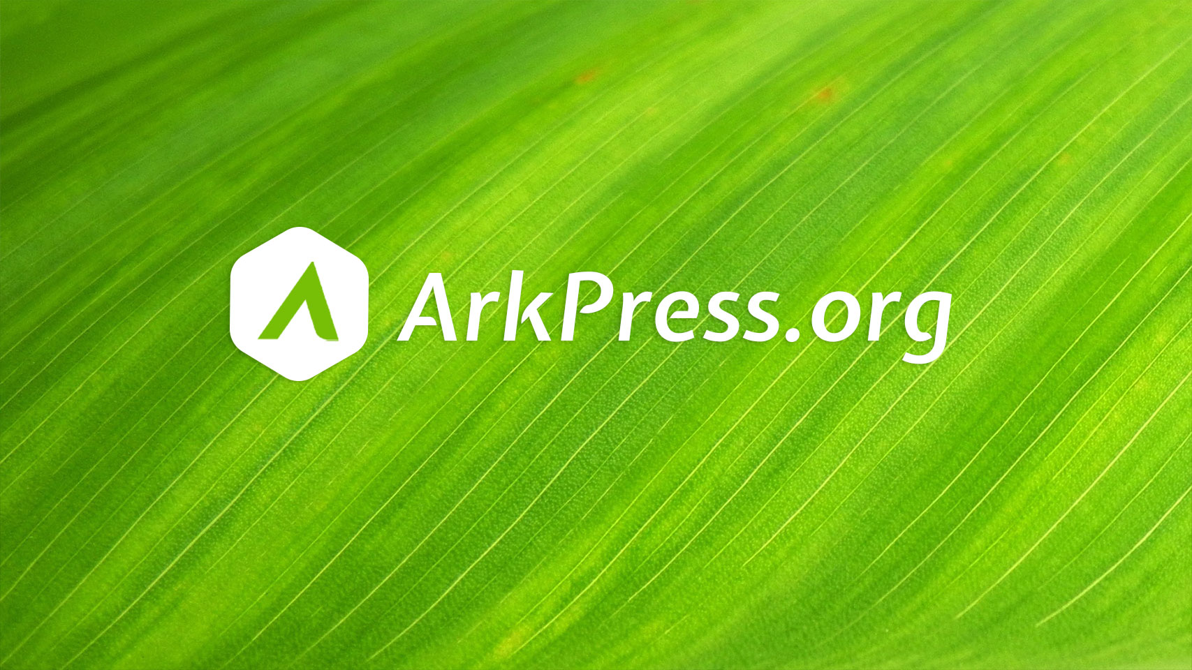 公布 ArkPress 开源自托管 WordPress 存储库替代解决方案。