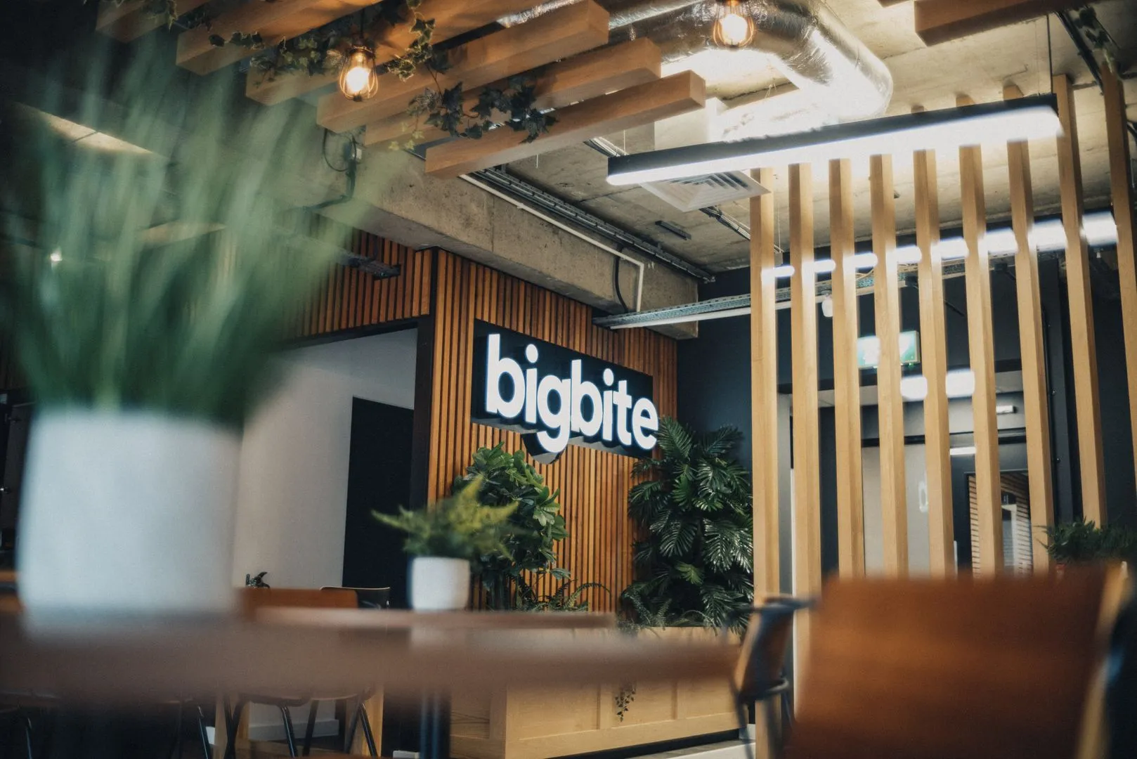 WP Engine 收購 Big Bite,將新聞編輯室專業能力納入麾下
